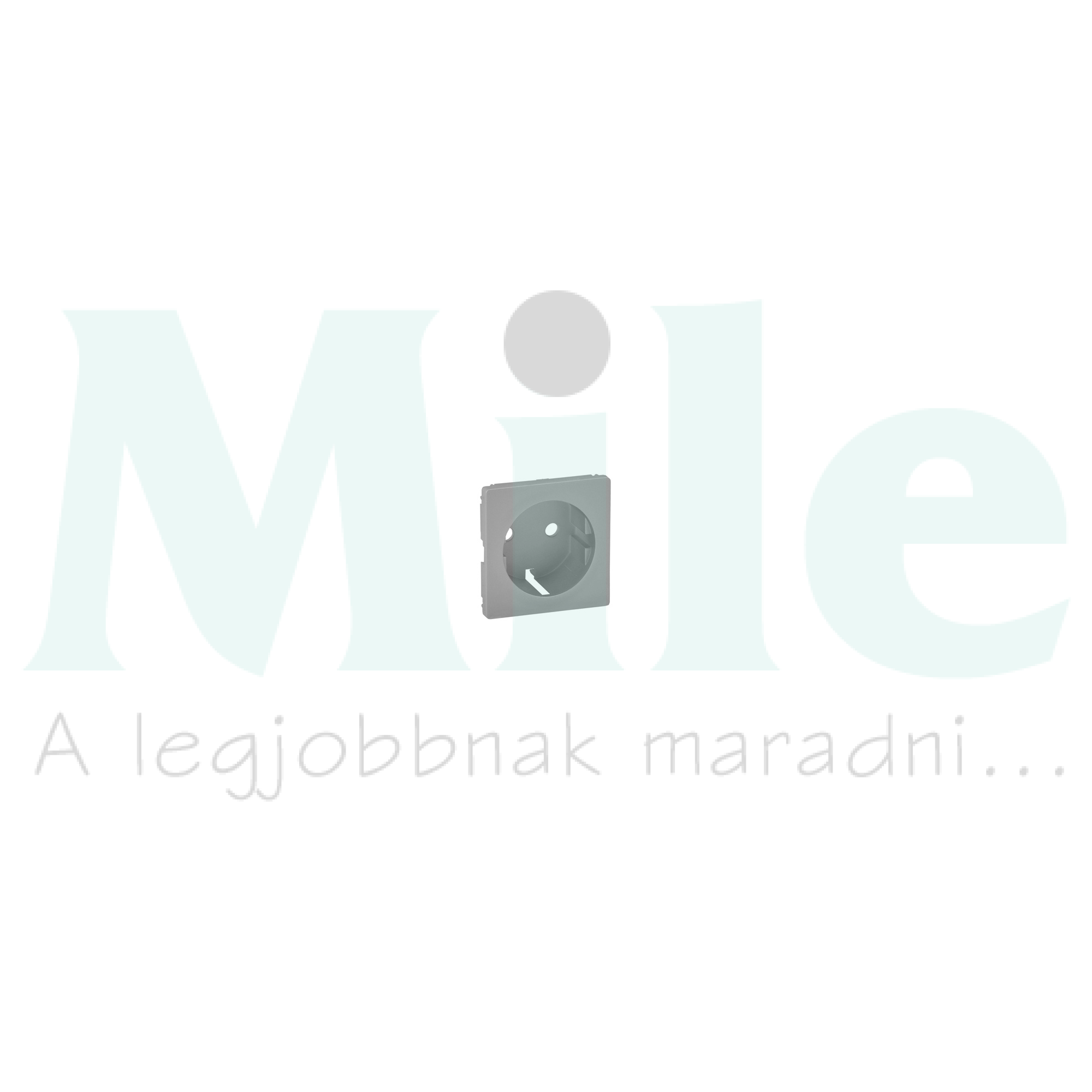 ValenaLife fedlap 162 dugaljhoz alumínium  LEGRAND