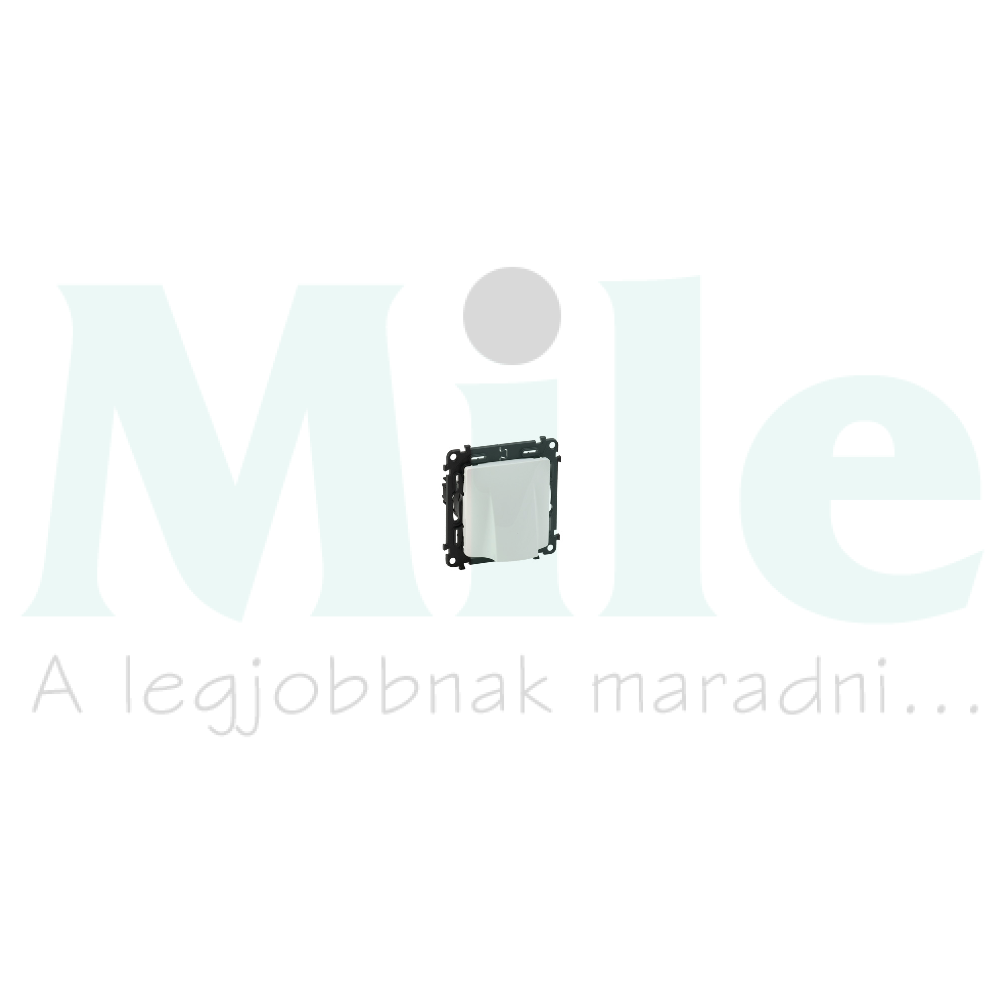 ValenaLife kábelkivezető sorkapoccsal fehér LEGRAND