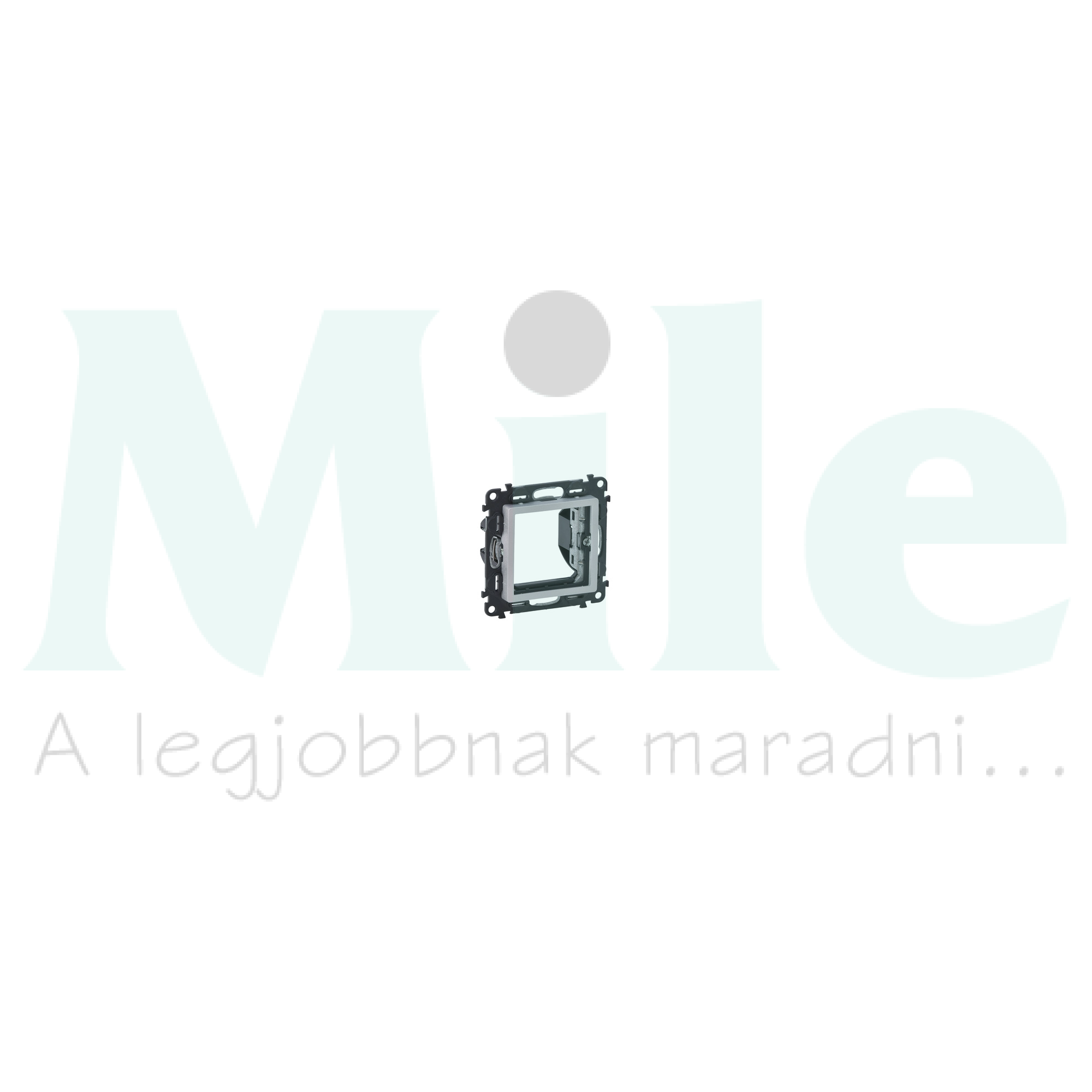 ValenaLife/Mosaic adapter alumínium  LEGRAND