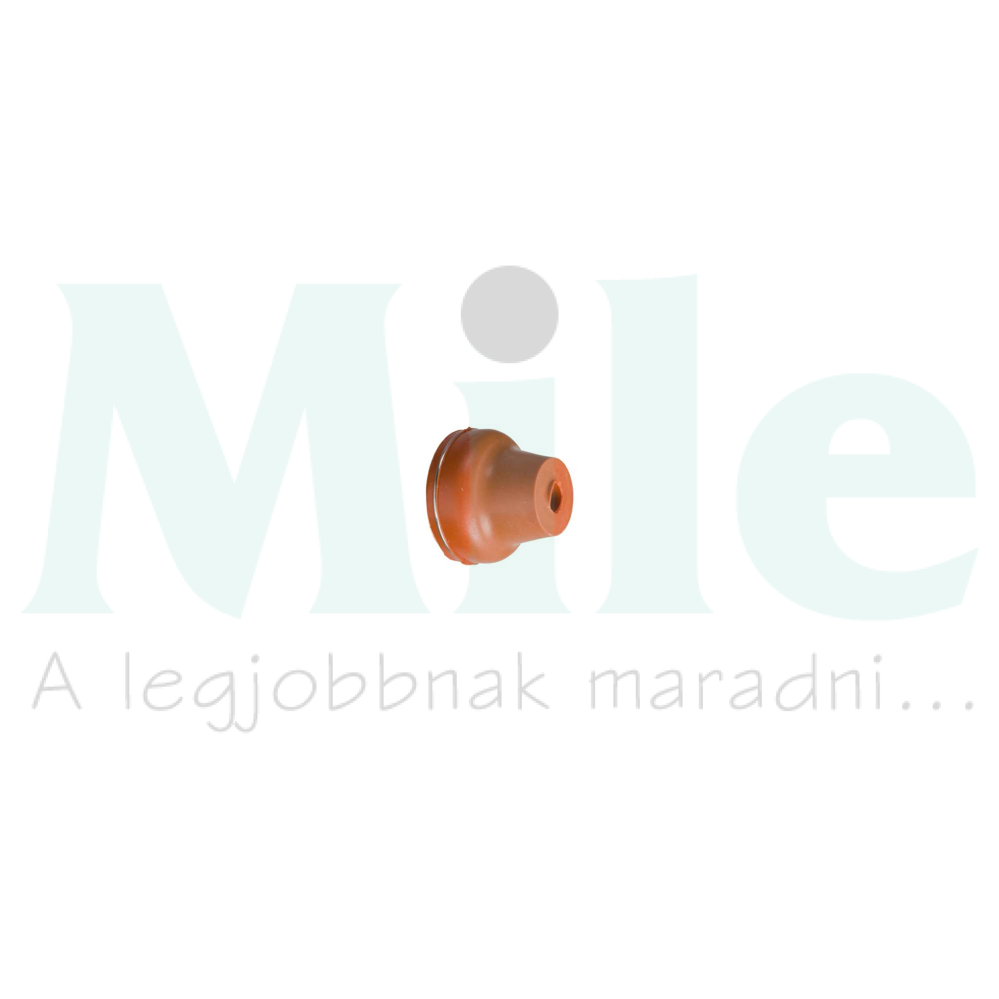 Védősapka d16mm PCP darukapcsolóhoz kerek fehér Harmony XAC Schneider