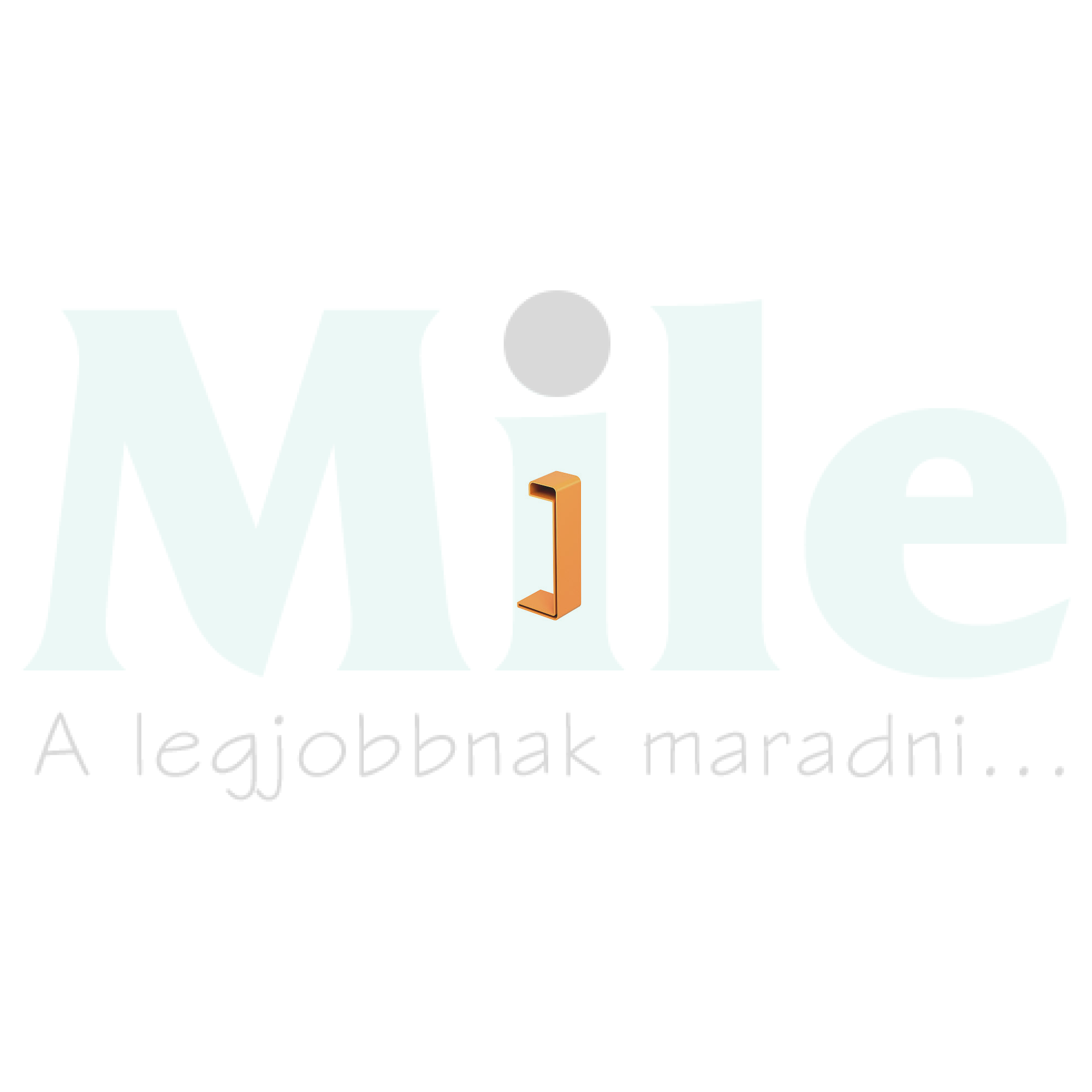 Védősapka műanyag végzáró sapka L-profil-hoz SKHW 110 OR OBO-BETTERMANN