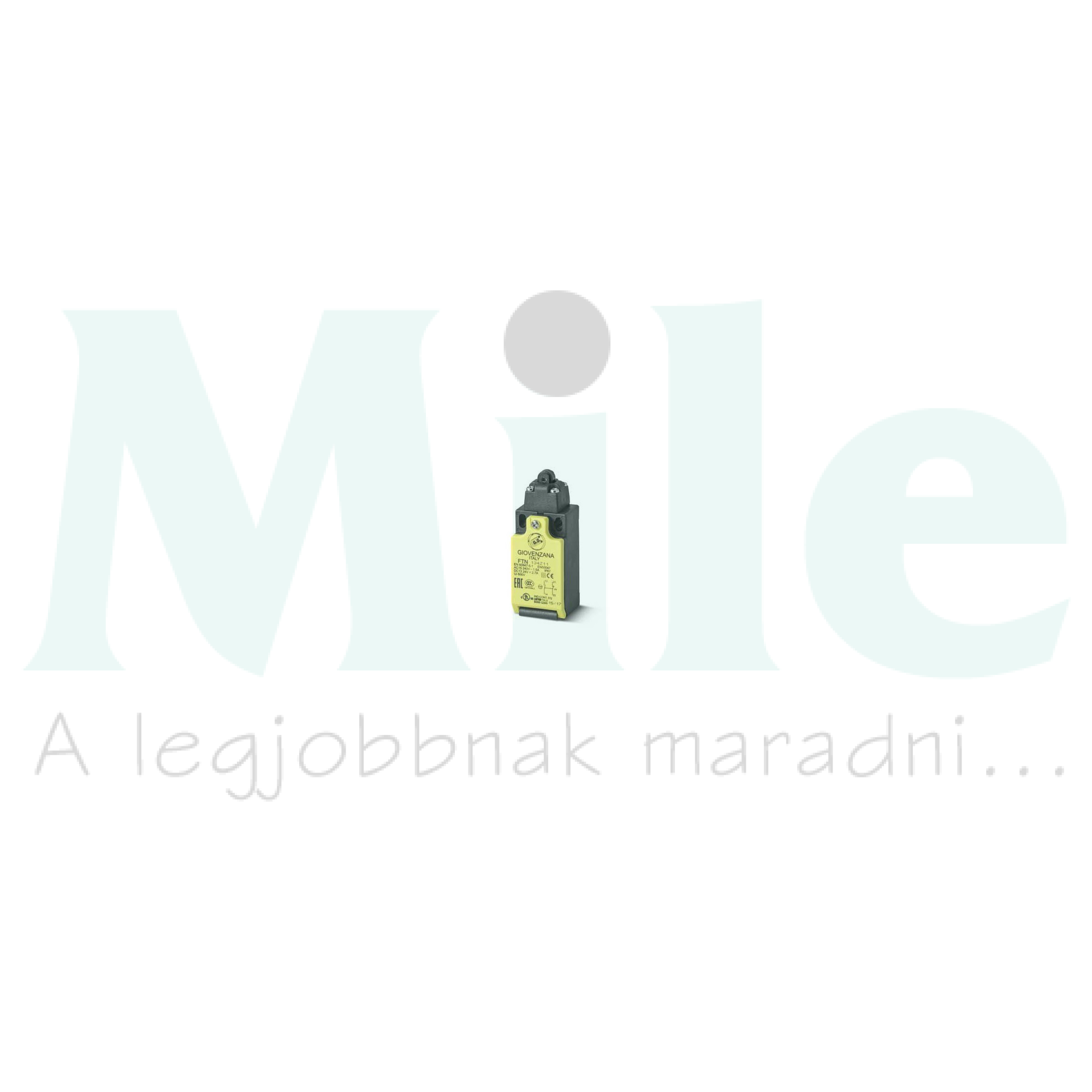 Végálláskapcsoló PG13,5 műanyag 1ny 1z görgős ütköző 1.5A/AC15/230V IP67 FTN Giovenzana