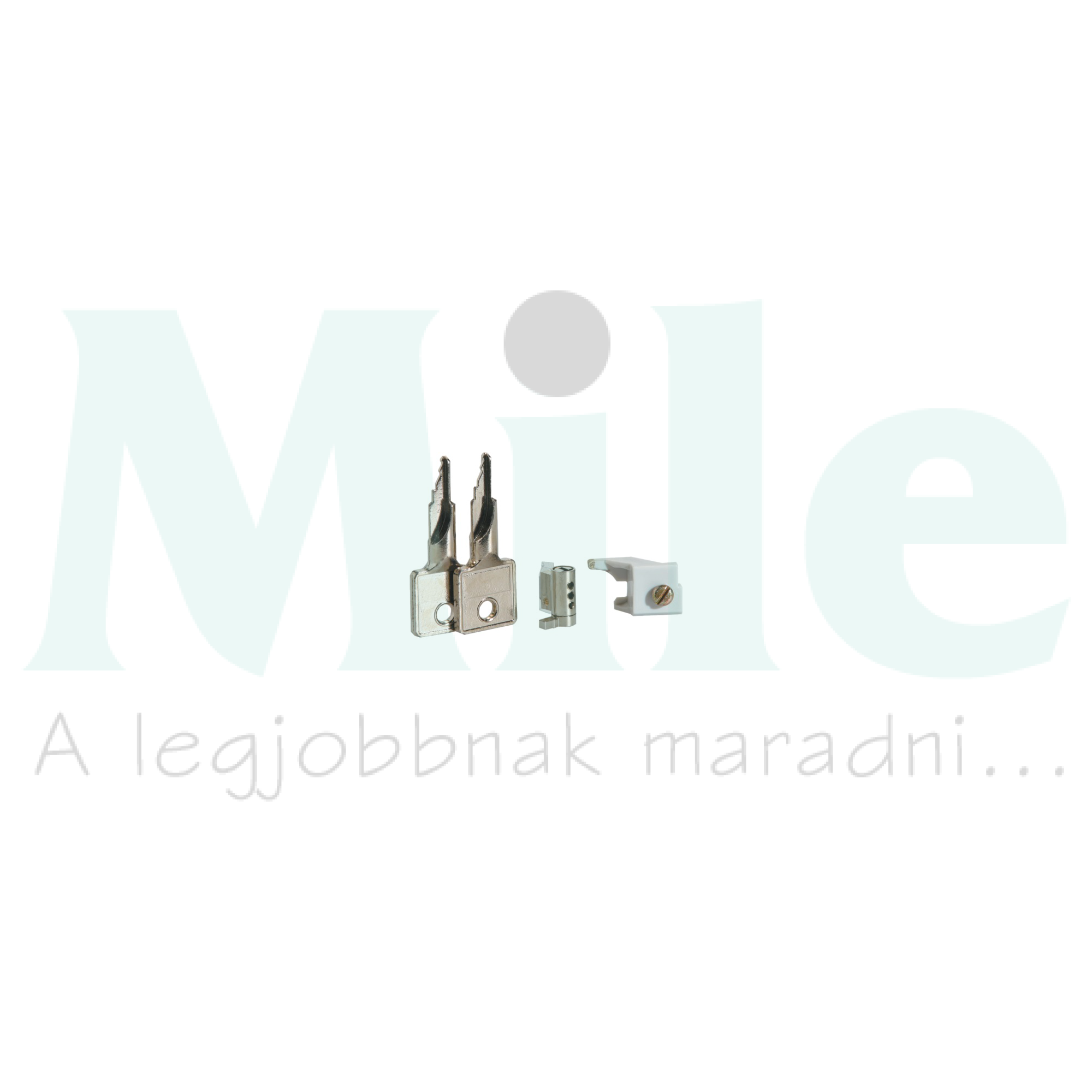 Zár 2kulccsal hengeres-zárás kulcs Vector Hager