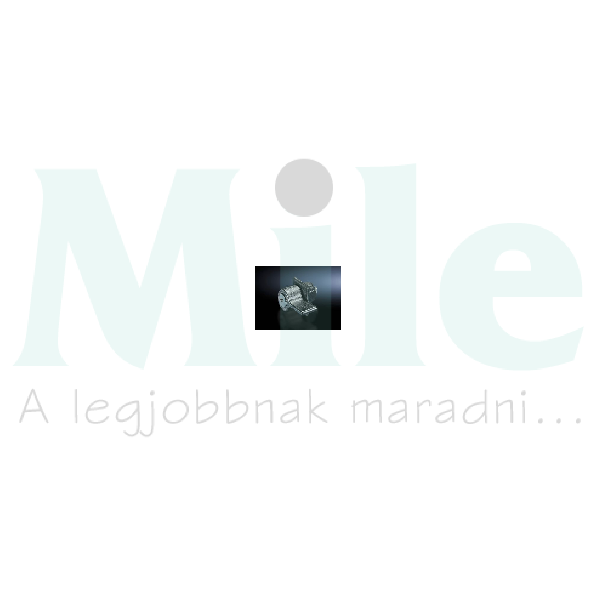 Zár betéttel 3524E +2kulcs hengeres SZ Rittal