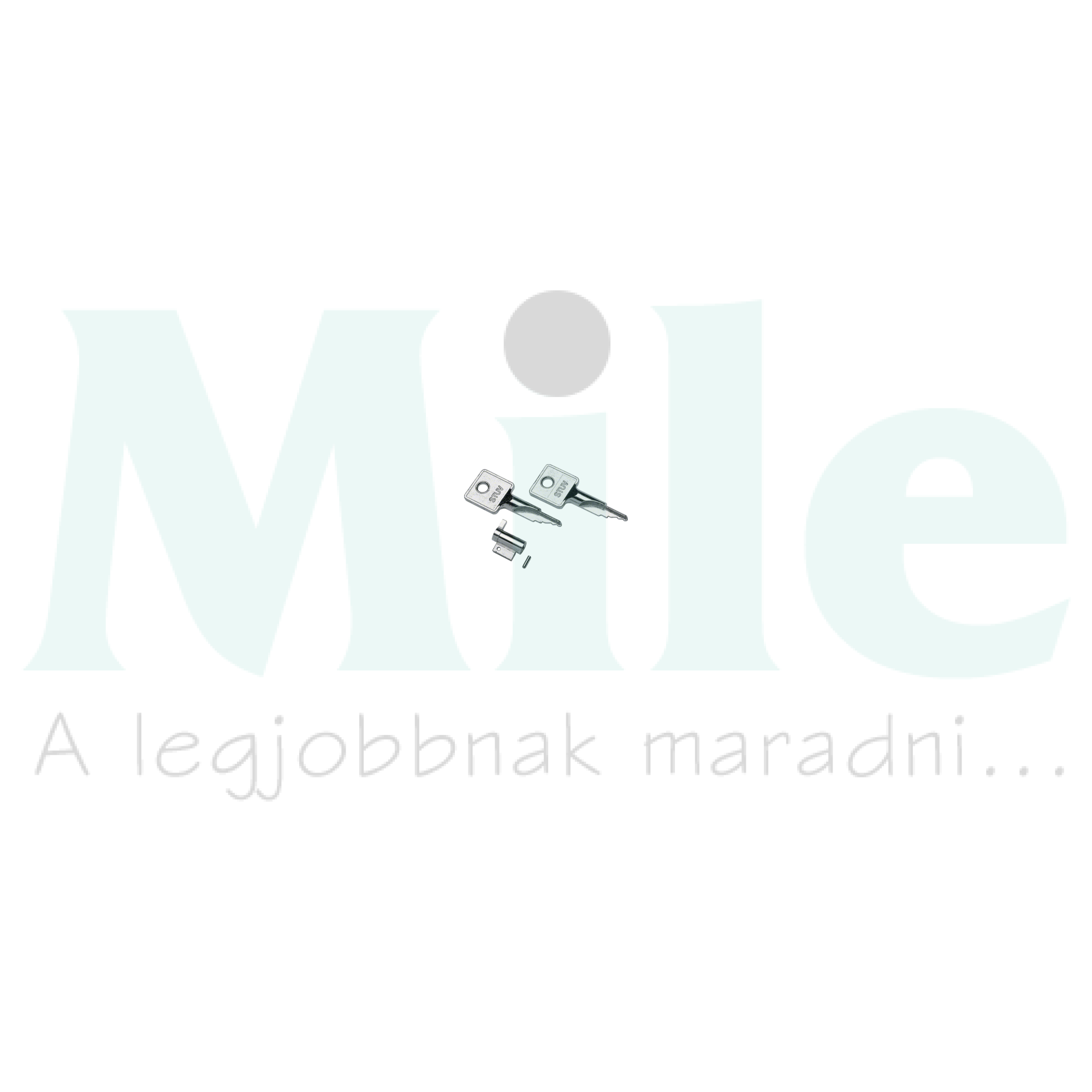 Zár GD mini elosztóhoz Gamma Hager