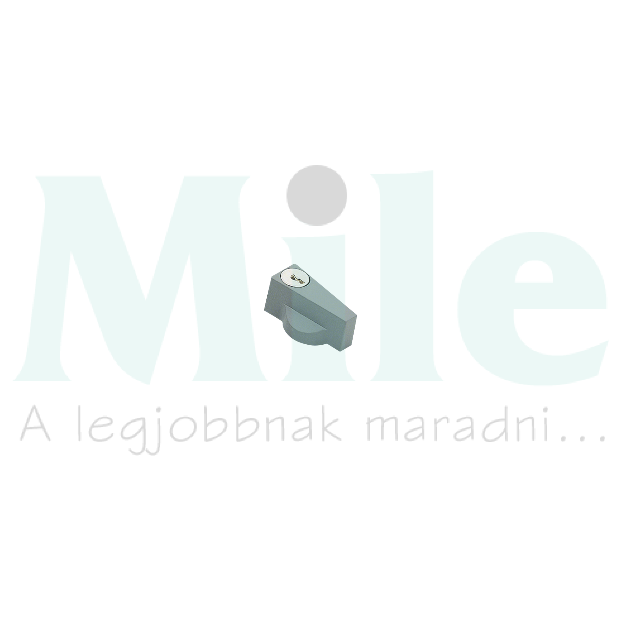 Zár kulccsalN 427 (csak az FL93Z mellé) kulcs Orion Plus Hager