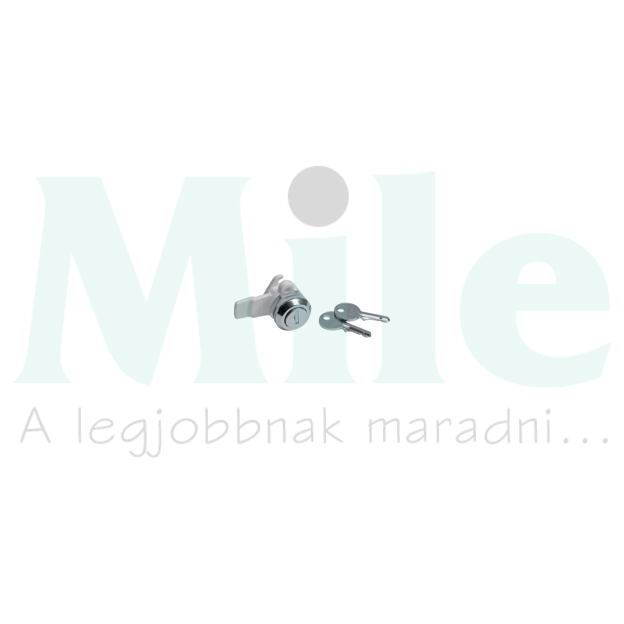 Zár Nr.1243E betét 2kulccsal kulcsos Quadro4/5 Hager