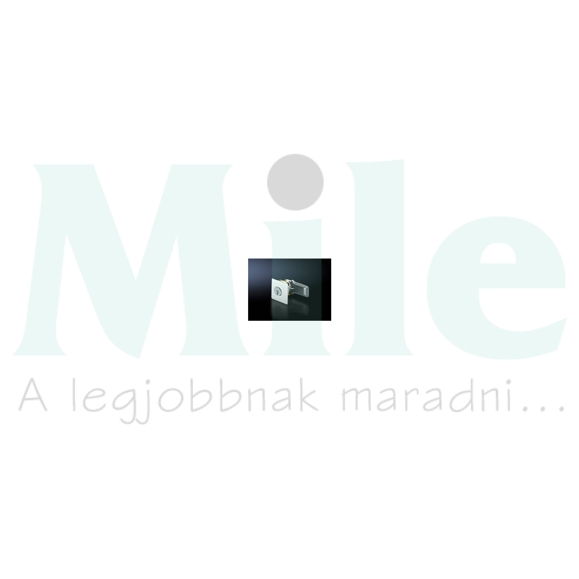 Zárbetét 3524E +2kulcs hengeres SZ Rittal