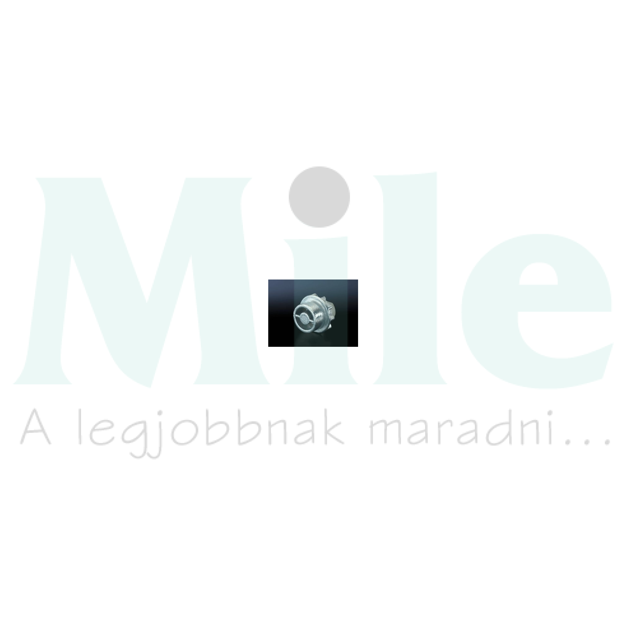 Zárbetét CM/EL/TS/SE/PC/IW-hez Daimler-zár hengeres TS Rittal
