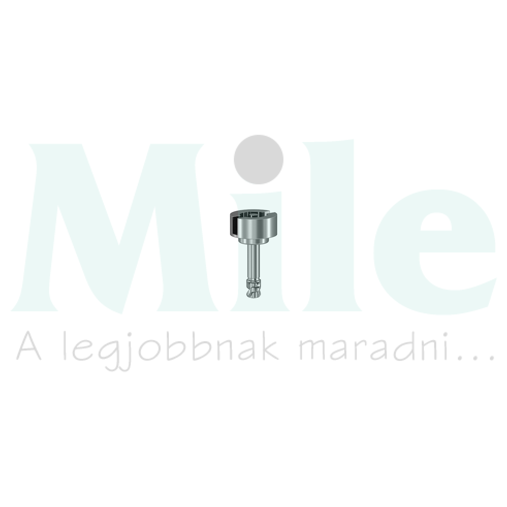 Zárbetét kéttolú fém Spacial SBM Schneider