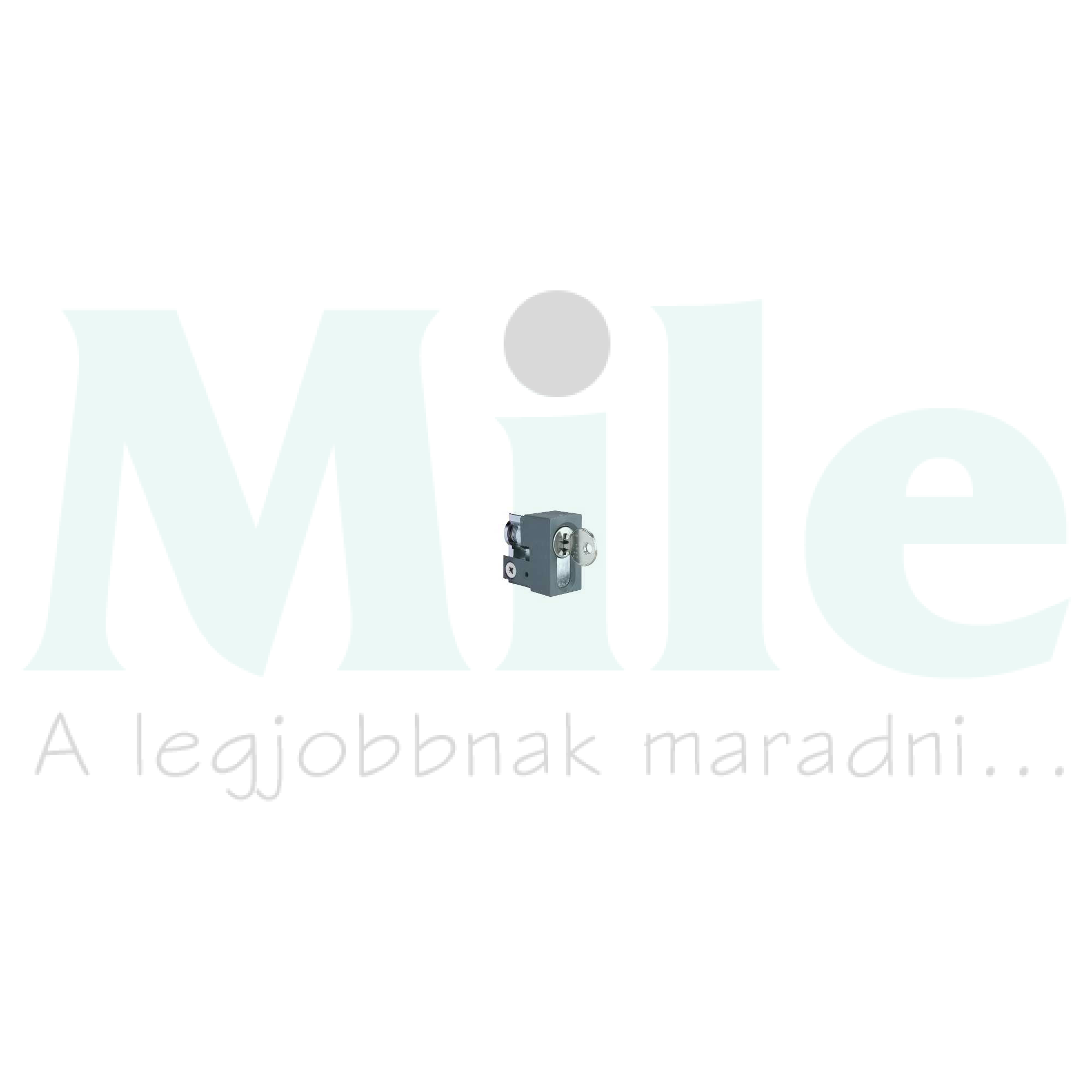 Zárbetét TLR/OLN hengeres Spacial SF/SM Schneider