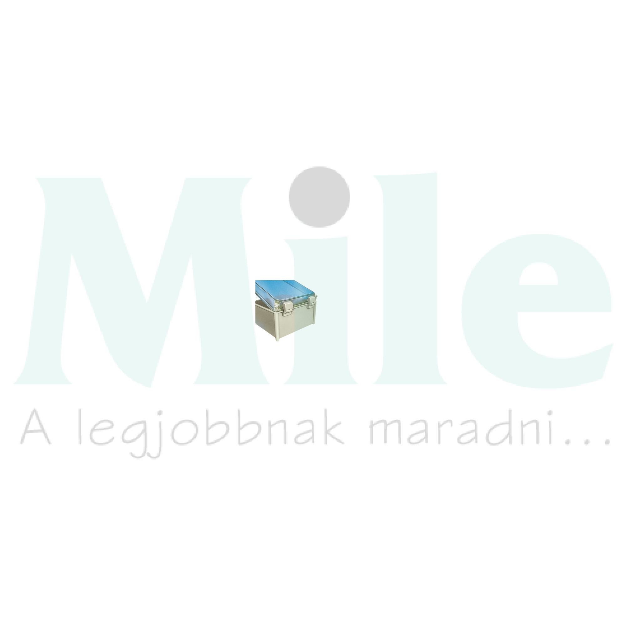 Zsanérkészlet (2db) belső 180°-nyitásszög műanyag Thalassa PLS Schneider