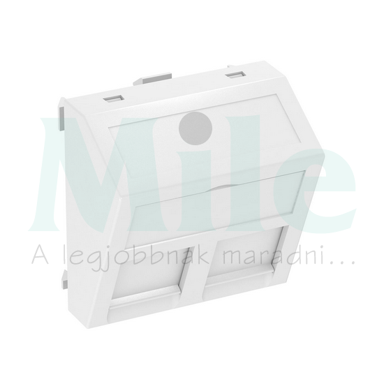 Adapterkeret közp. fedéllel 2xRJ45 adatcsatlakozóhoz műanyag fehér DTS-2B RW1 OBO-BETTERMANN