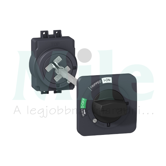 Ajtókuplung forgató hajtás EZC100-hoz tengellyel zárható ajtózárral EasyPact EZC Schneider