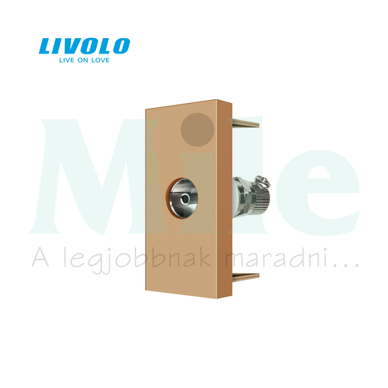 Antenna aljzat TV 1modul 1-kimenet süllyesztett arany C7 LIVOLO