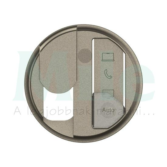 Céliane RJ45 multimédia csatlakozóaljzat burkolat, titánium