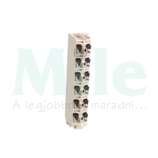 Csatlakozóblokk 6P 24VDC  Modicon TM5 Schneider