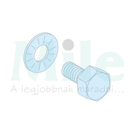 Csavar M6x16 8.8 +recés alátét kapocssínhez Prisma G/P Schneider