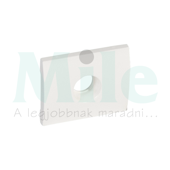 Galea fedlap TV központi fedlap fehér IP20 műanyag fényes bepattintás LEGRAND