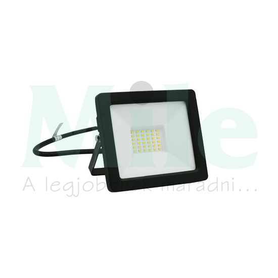 LED fényvető 1x 30W 12-24V DC 3150lm 4000K antracit alumínium IP65 ADELEQ