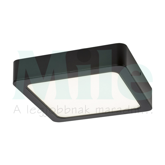 LED mennyezeti lámpatest kerek süllyesztett falonkívüli 1x 7W 230V AC 670lm 3000K IP20 20000h Shaun2 RÁBALUX