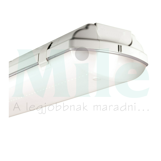 LED porpáramentes lámpatest 5000-8000lm falonkívüli 1x 39-53W 230V AC BS100 LED REG Beghelli