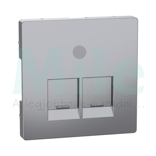 Merten D-Life fedlap 2xRJ45 adatcsatlakozóhoz műanyag nemesacél Schneider