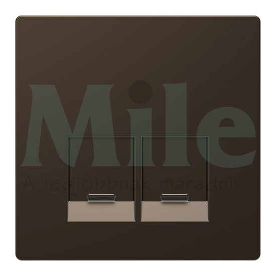 Merten D-Life fedlap 2xRJ45 adatcsatlakozóhoz műanyag Schneider