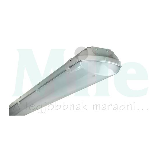 LED porpáramentes lámpatest 3080-5000lm falonkívüli 1x 19-34W 230V AC BS100 LED REG Beghelli
