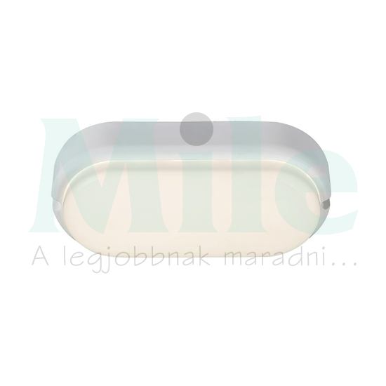LED hajólámpa ovális falonkívüli 1x 15W 230V AC 1300lm 4000K IP54 20000h Hort RÁBALUX