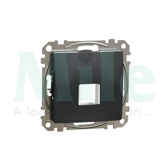 SednaÚj adapterfedél RJ45-höz antracit Keystone Schneider