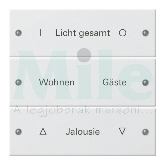 ST55 KNX billentyűkészlet 3pár=6gomb/1modul +feliratmező fehér GIRA