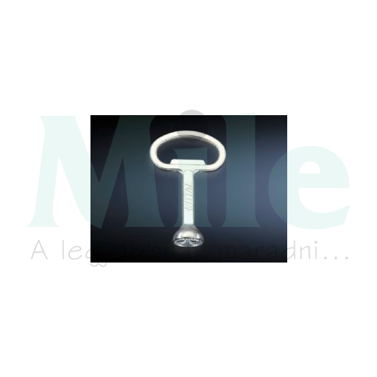 Szekrénykulcs HD kéttollú HD Rittal