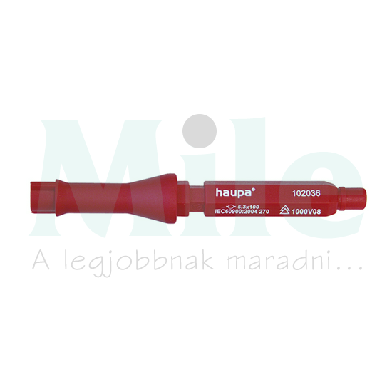 Szekrénykulcs kéttollú Vario Haupa