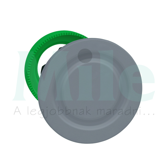 Vakdugó d30 szürke Harmony XB5 Schneider