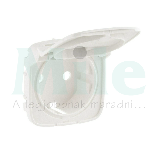 ValenaAllure burkolat csapófedéllel 162 dugaljhoz gyöngyház  LEGRAND